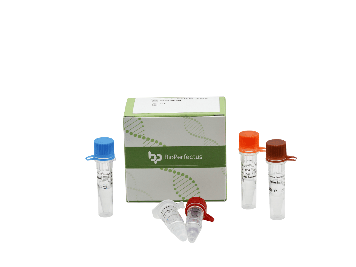 Respiratory Syncytial Virus A/B Real Time PCR Kit — Jiangsu Bioperfectus Technologies Co., Ltd. product image