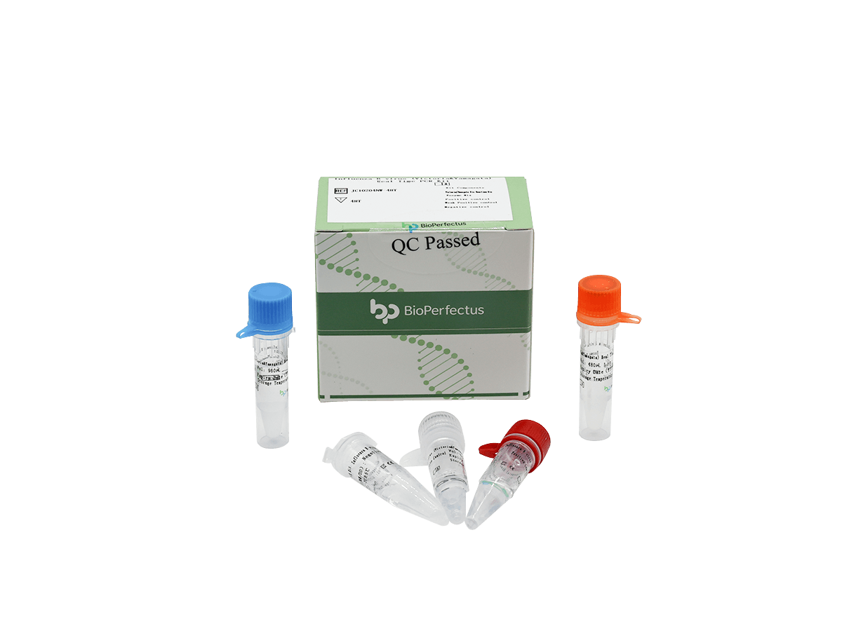 Influenza B Virus (Victoria & Yamagata) Real Time PCR Kit — Jiangsu Bioperfectus Technologies Co., Ltd. product image