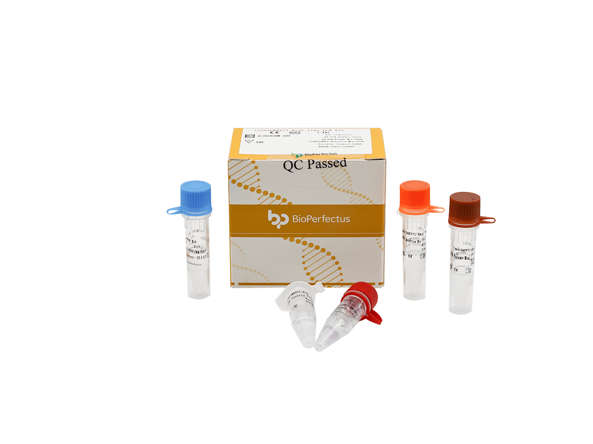 CoxA16 & EV71 Real Time PCR Kit — Jiangsu Bioperfectus Technologies Co., Ltd. product image