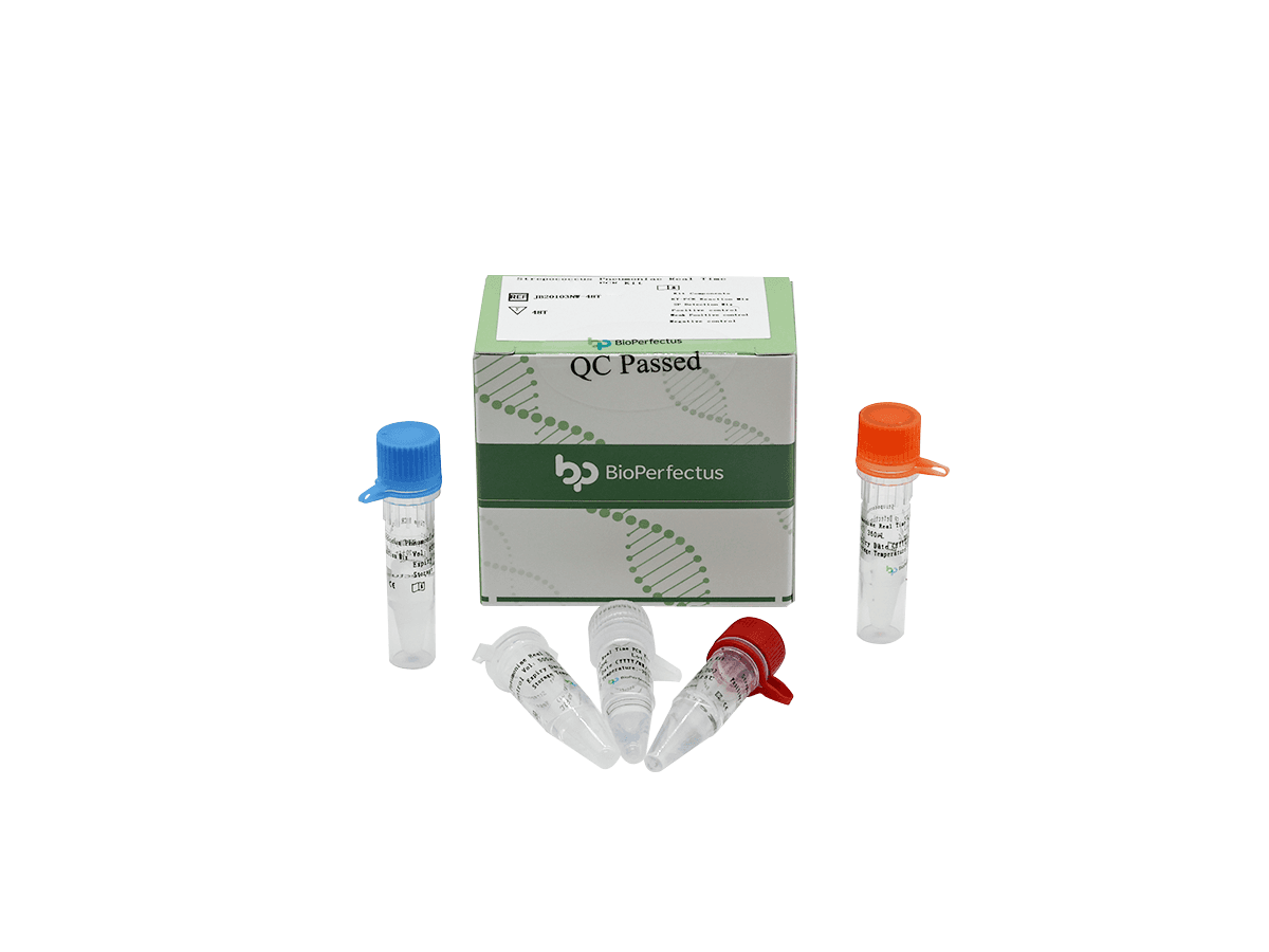 Streptococcus Pneumoniae Real Time PCR Kit — Jiangsu Bioperfectus Technologies Co., Ltd. product image
