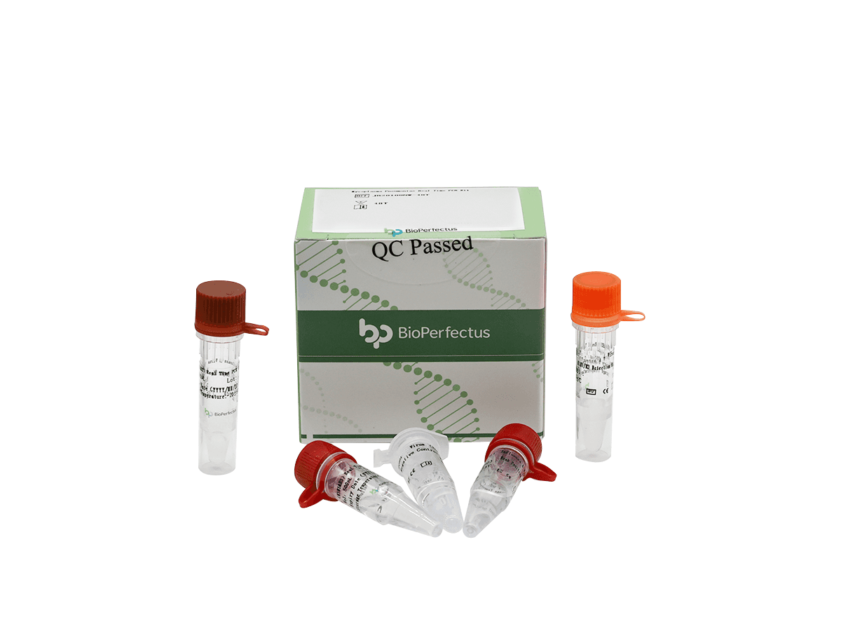 Mycoplasma Pneumoniae Real Time PCR Kit — Jiangsu Bioperfectus Technologies Co., Ltd. product image