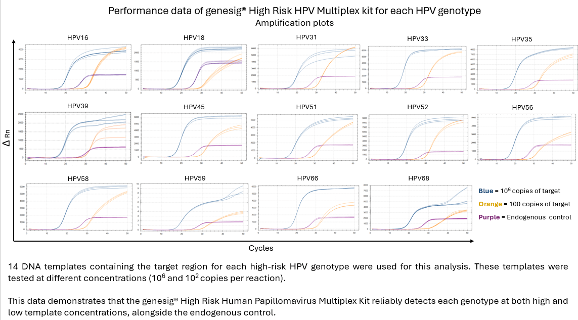 High Risk Human Papillomavirus Multiplex Kit — Novacyt (Primerdesign) product image