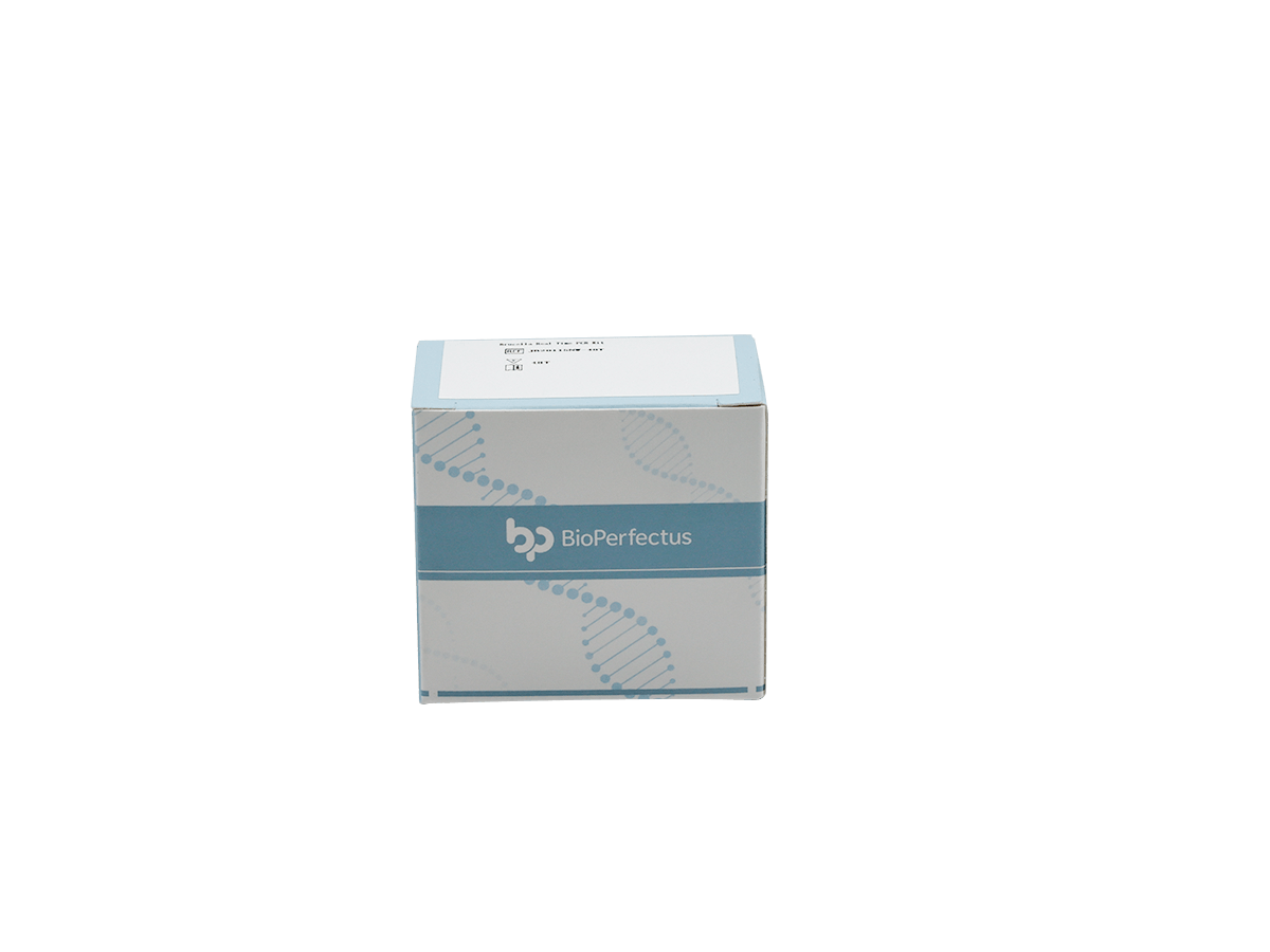 Hendra Virus Real Time PCR Kit — Jiangsu Bioperfectus Technologies Co., Ltd. product image