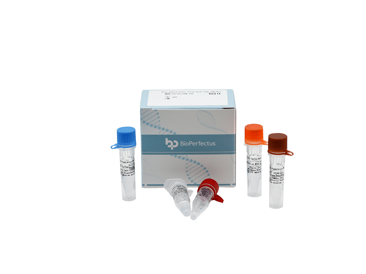 Rift Valley Fever Virus Real Time PCR Kit — Jiangsu Bioperfectus Technologies Co., Ltd. product image