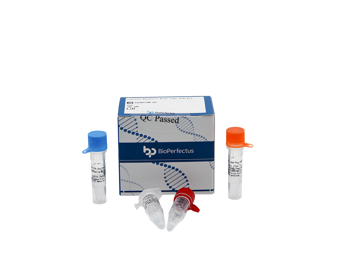 Coxiella Burnetii Real Time PCR Kit — Jiangsu Bioperfectus Technologies Co., Ltd. product image