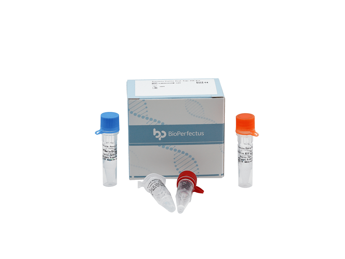 Yersinia Pestis Real Time PCR Kit — Jiangsu Bioperfectus Technologies Co., Ltd. product image