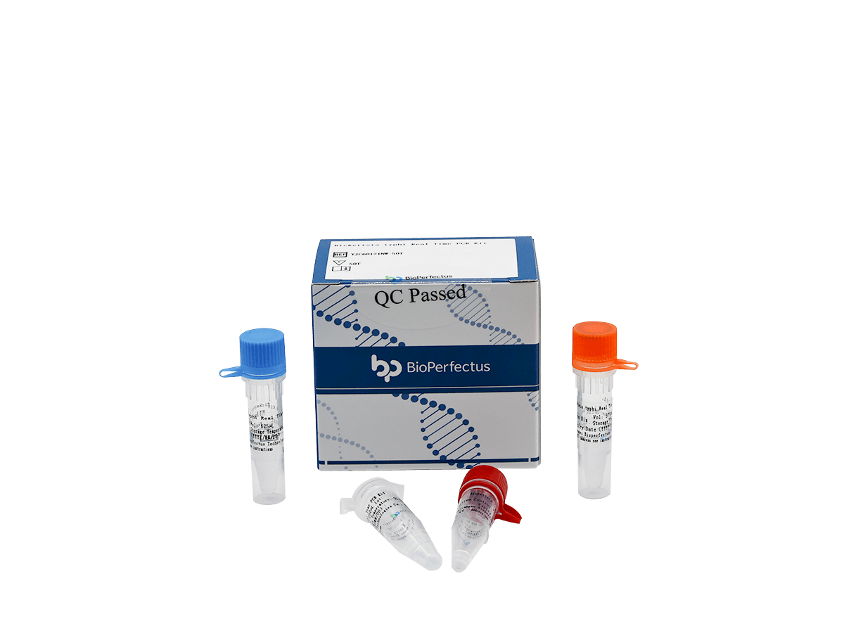 Rickettsia Typhi Real Time PCR Kit — Jiangsu Bioperfectus Technologies Co., Ltd. product image