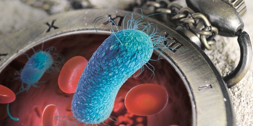 Procalcitonin FS — DiaSys Diagnostic Systems product image