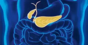 Pancreatic amylase CC FS — DiaSys Diagnostic Systems product image