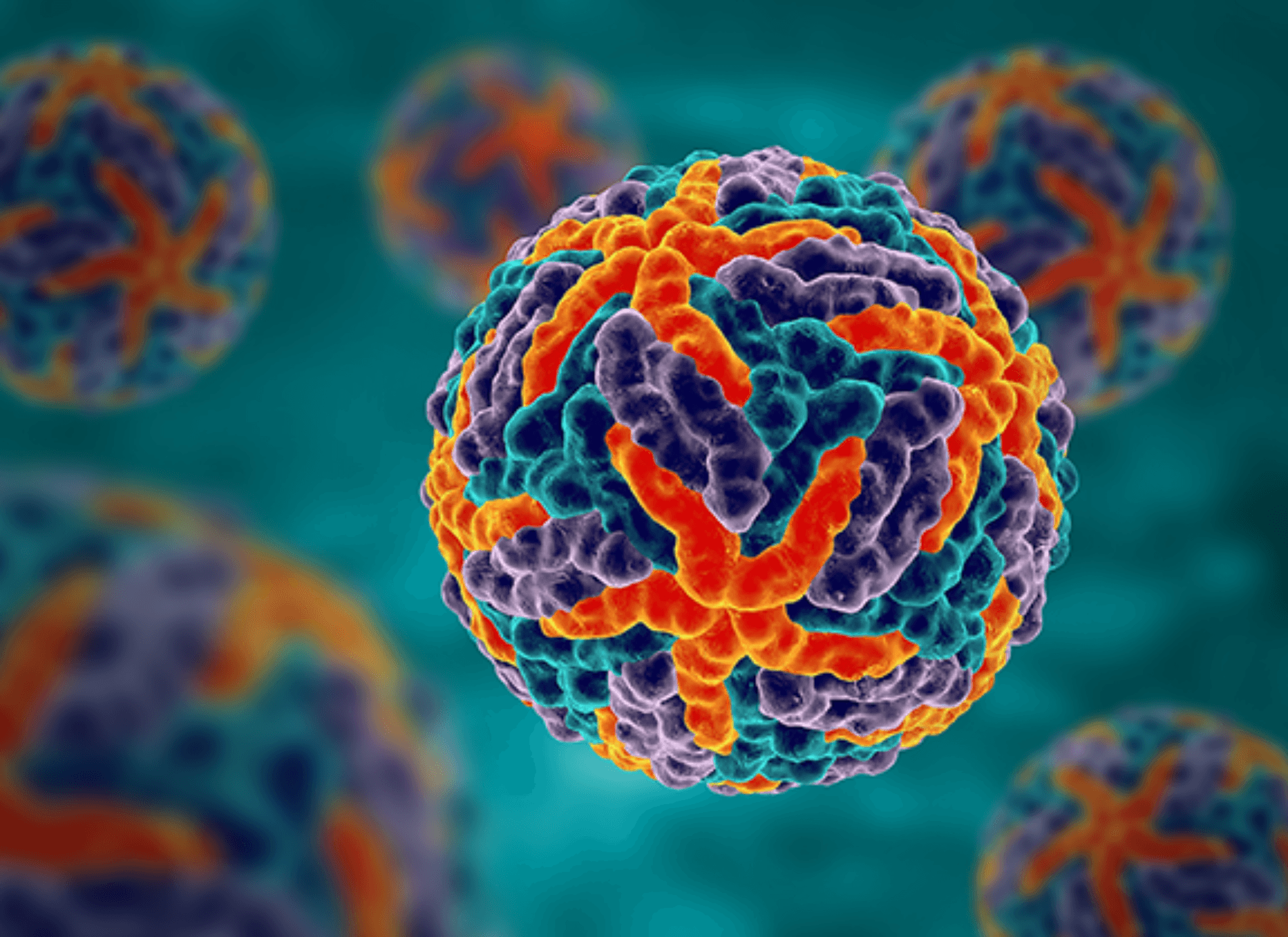 Elecsys Dengue Ag — Roche Diagnostics product image