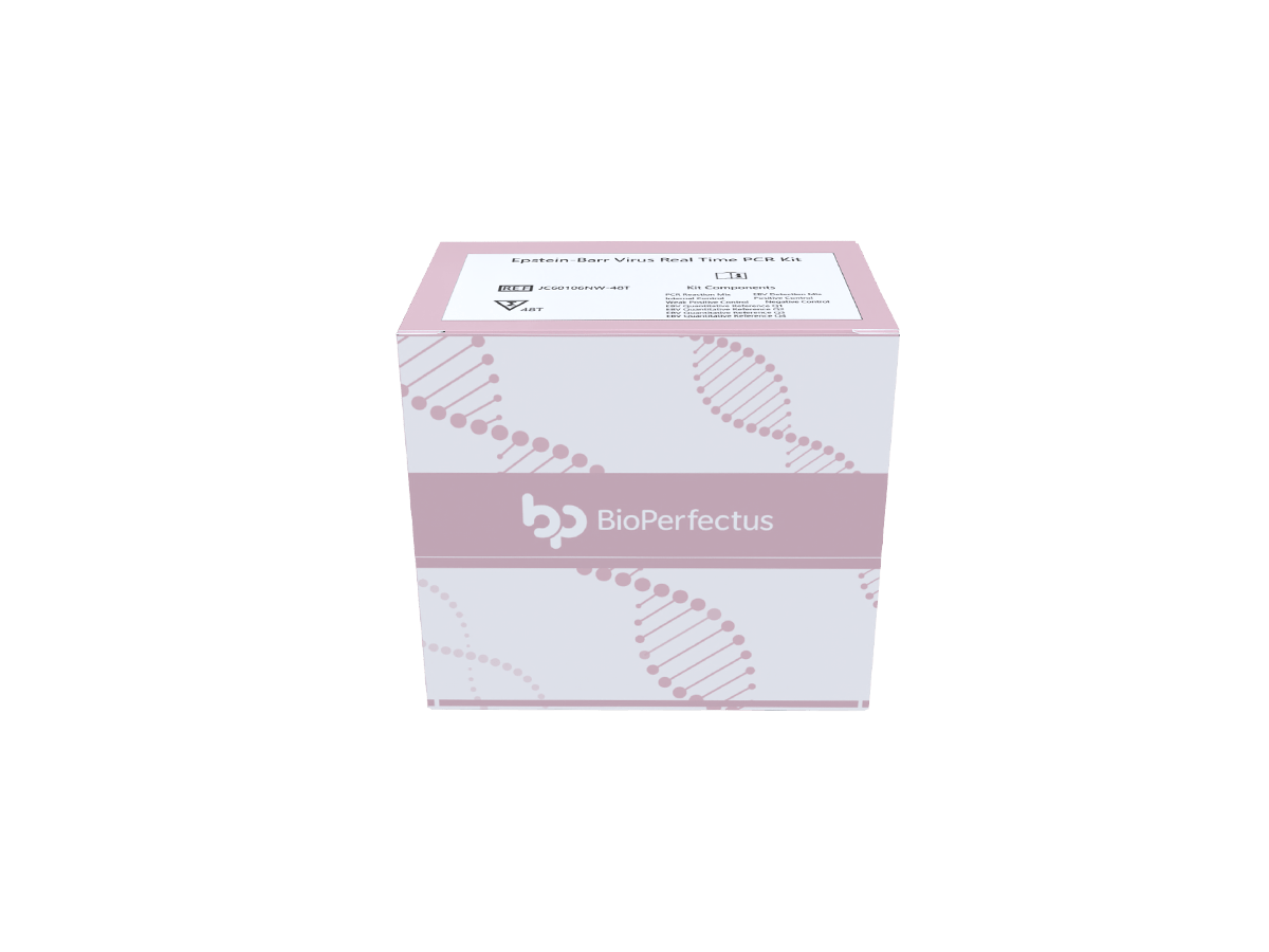 Epstein-Barr Virus Real Time PCR Kit — Jiangsu Bioperfectus Technologies Co., Ltd. product image