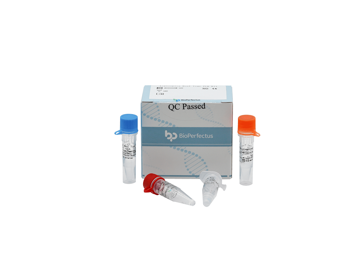 Leptospira Real Time PCR Kit — Jiangsu Bioperfectus Technologies Co., Ltd. product image