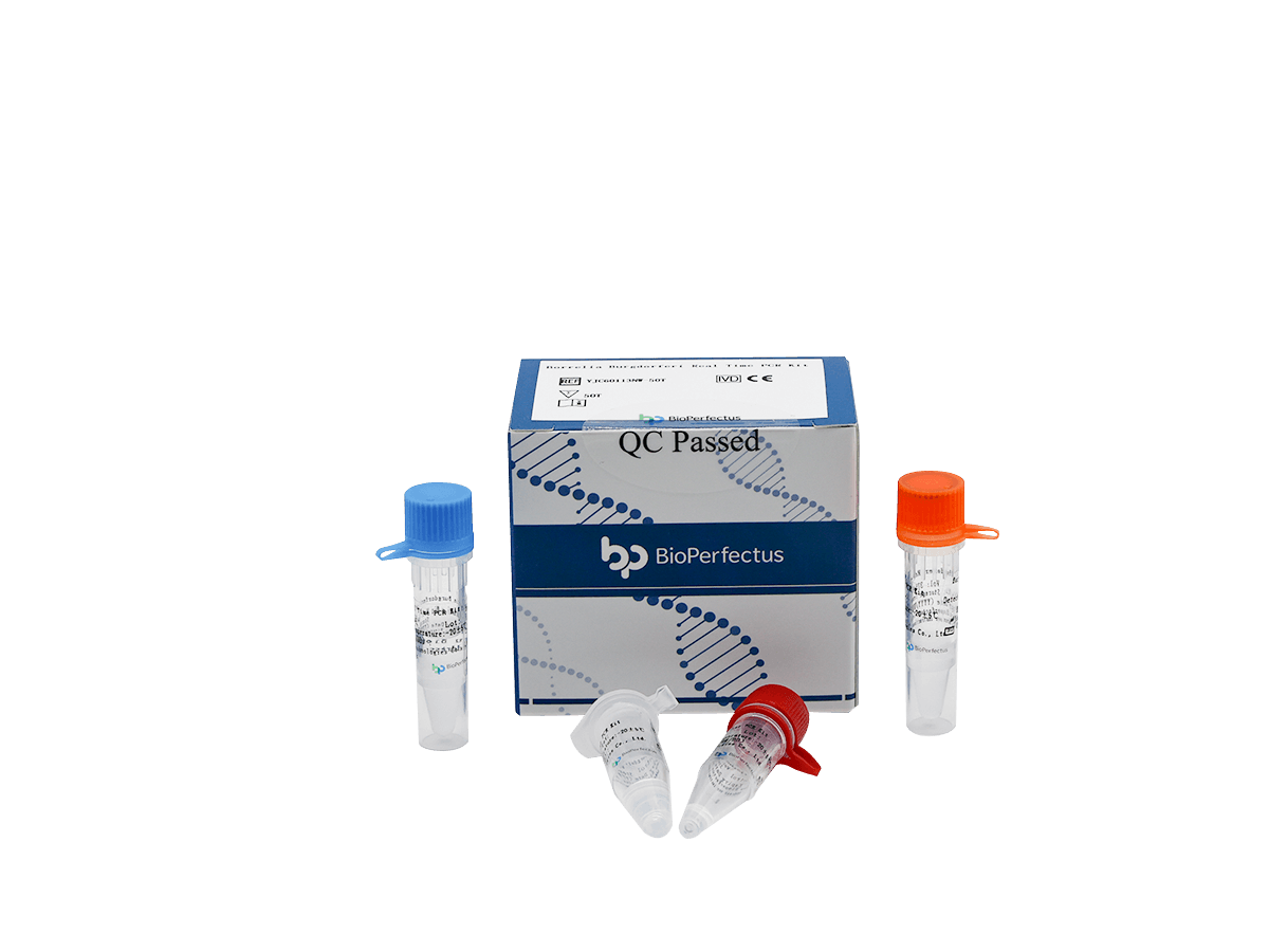 Borrelia Burgdorferi Real Time PCR Kit — Jiangsu Bioperfectus Technologies Co., Ltd. product image
