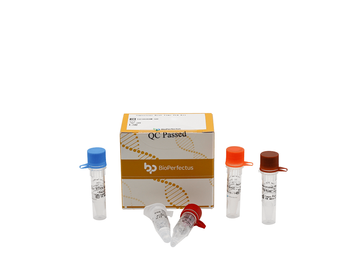Sapovirus Real Time PCR Kit — Jiangsu Bioperfectus Technologies Co., Ltd. product image