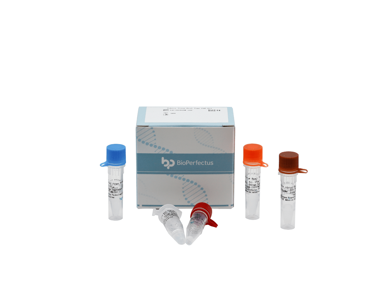 Rabies Virus Real Time PCR Kit — Jiangsu Bioperfectus Technologies Co., Ltd. product image