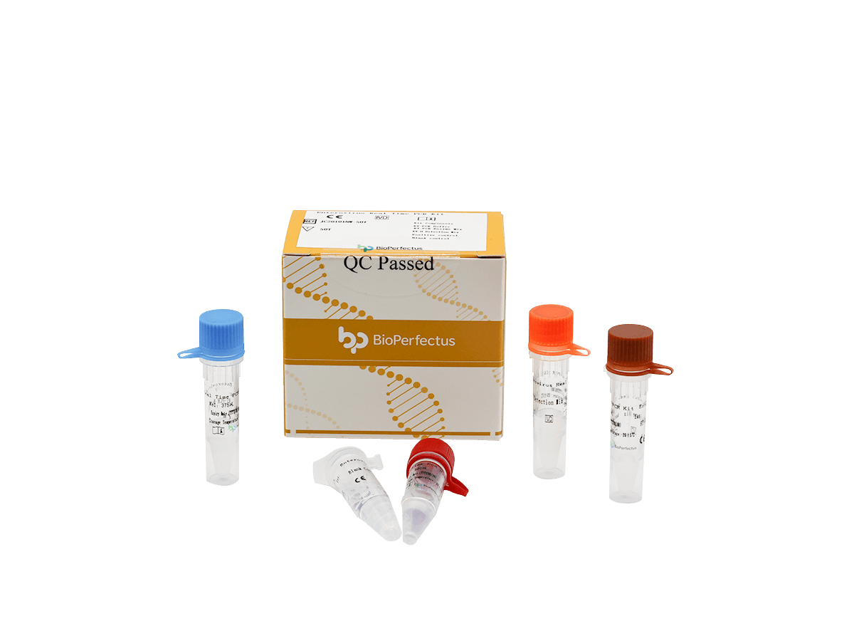 Enterovirus Real Time PCR Kit — Jiangsu Bioperfectus Technologies Co., Ltd. product image