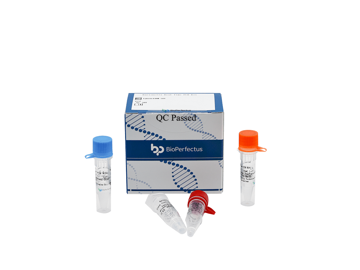 Bartonella Real Time PCR Kit — Jiangsu Bioperfectus Technologies Co., Ltd. product image